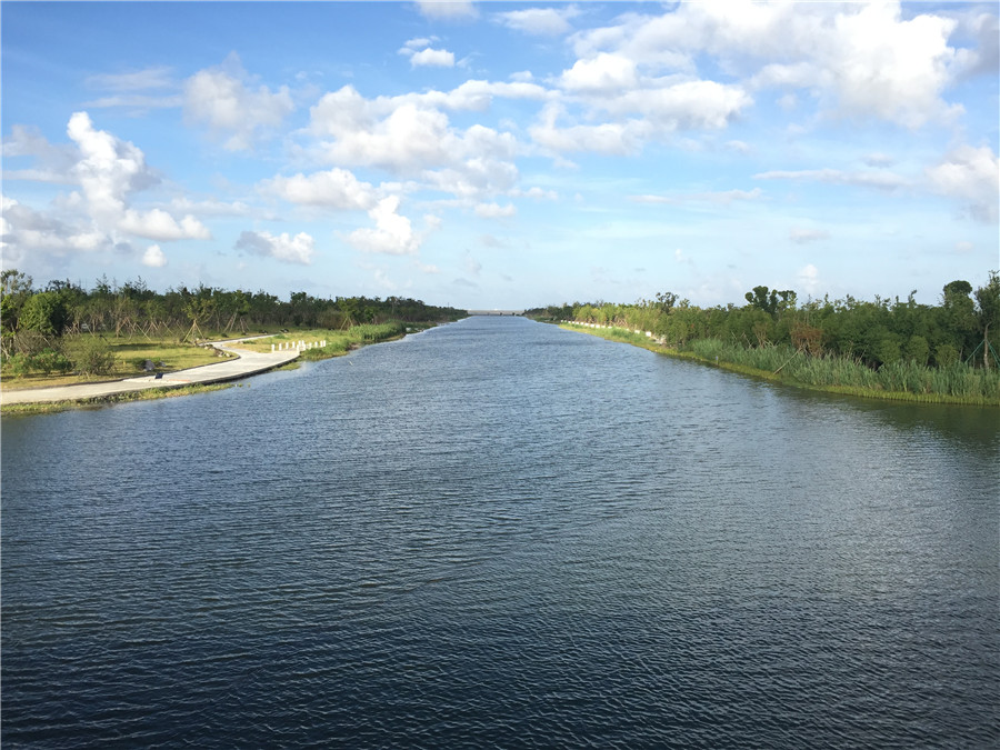 长浦河改造及沿岸绿化景观