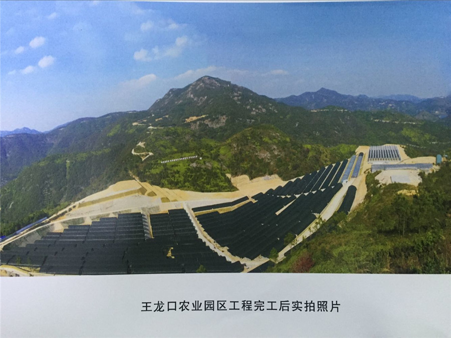 王龙口农业园区工程